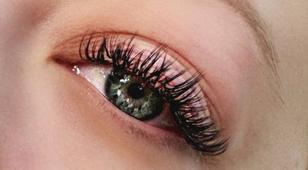 Close-up of lush eyelashes at Winkology Lash Lab, Sugar Hill, Georgia, US showcasing expert lash extensions.
