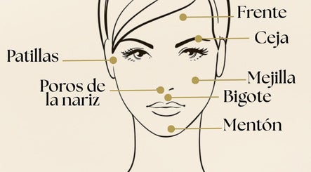 Face mapping illustration from ¡Ay, Cera! Depilaciones in La Piedad De Cabadas, Michoacán, MX.