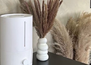 Elegant decor with pampas grass and humidifier at Zoteya Beauty Salon, Sandton, Gauteng, ZA.