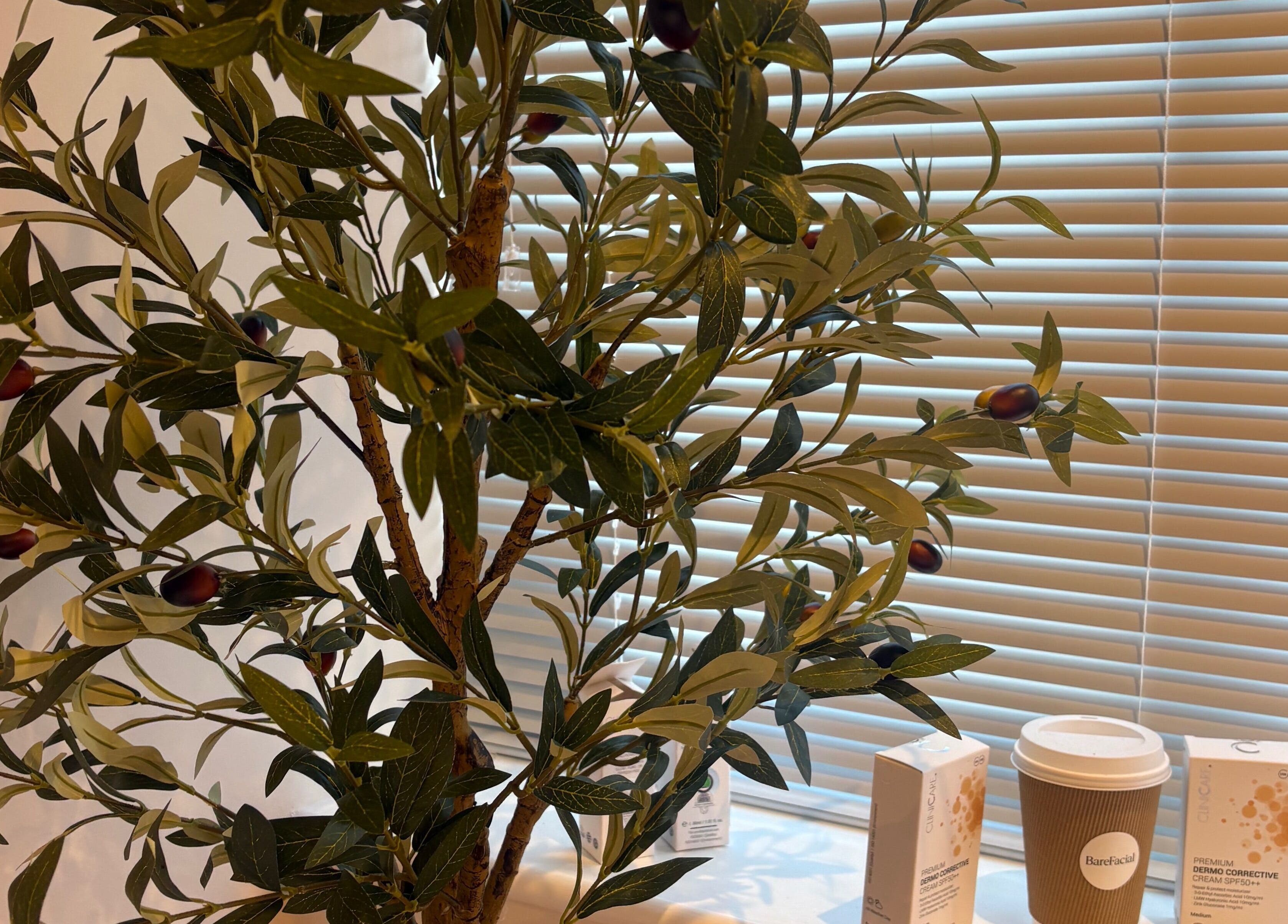 Olive tree and skincare products at BareFacial, Thatcham, England, GB, creating a serene ambiance.