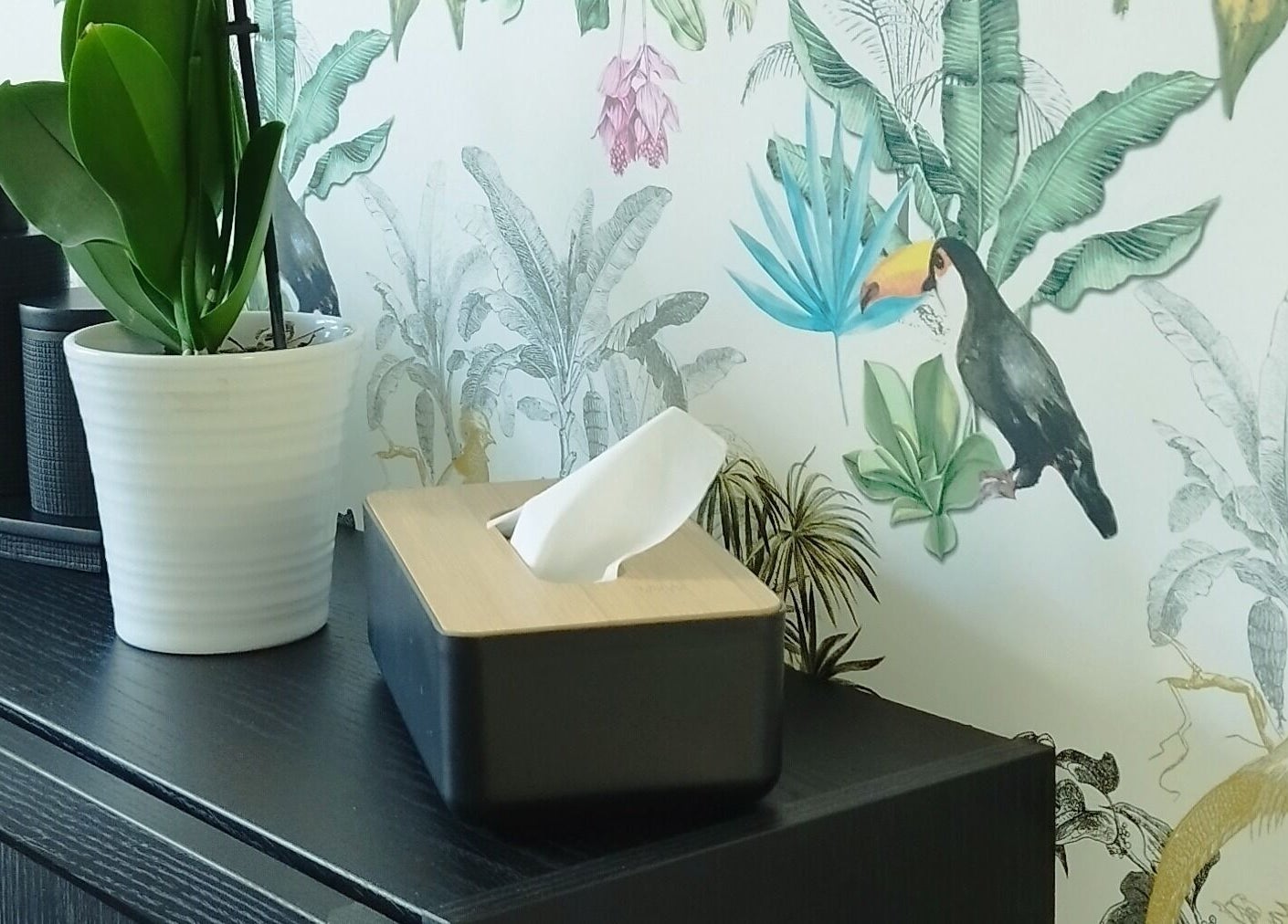 Décor chic avec plante et toucan chez Atmosphèr'elles, Le Sourn, Bretagne, FR.