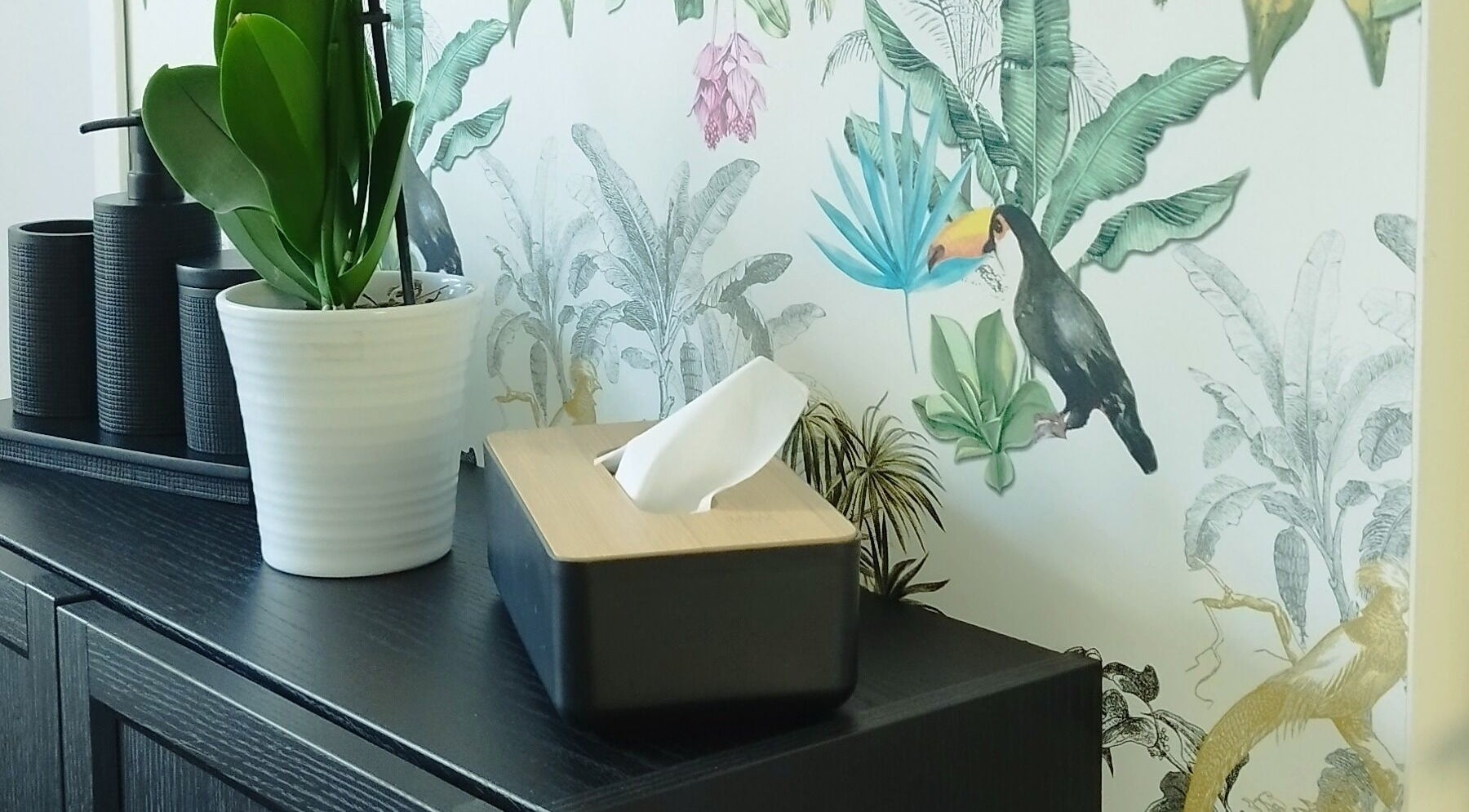 Décor chic avec plante et toucan chez Atmosphèr'elles, Le Sourn, Bretagne, FR.