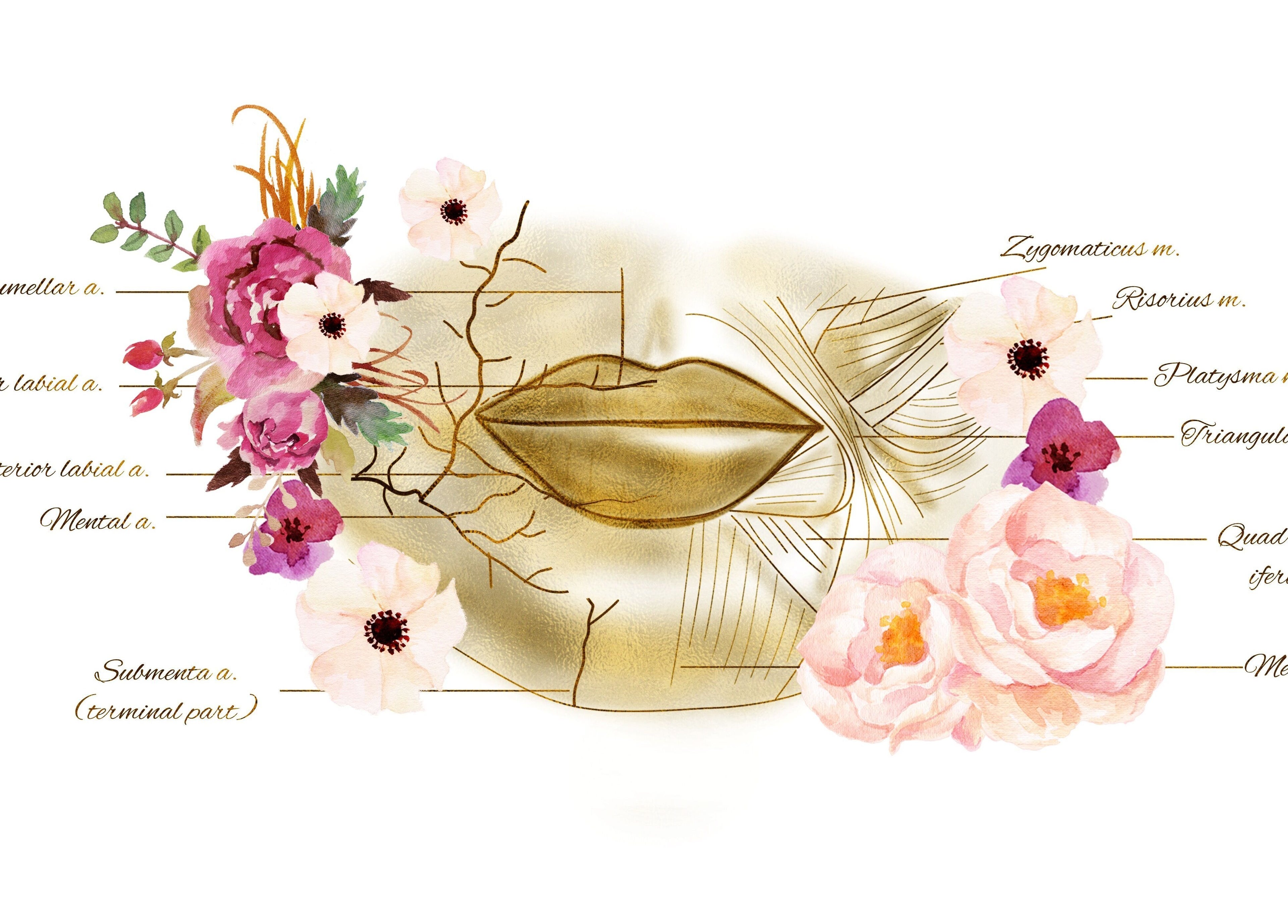 Artistic depiction of lip anatomy with floral elements at Flawless Faces By Pamela, County Meath, County Meath, IE.