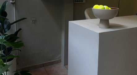 Μοντέρνα υποδοχή στο The Animals - Pet Grooming and More, Αθήνα, GR, με φυτό και μπολ με μπάλες.