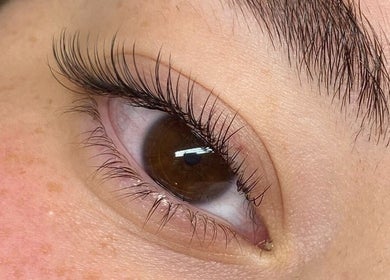 Closeup of beautifully extended eyelashes at By Lana Lashes, Amman, Amman Governorate, JO.