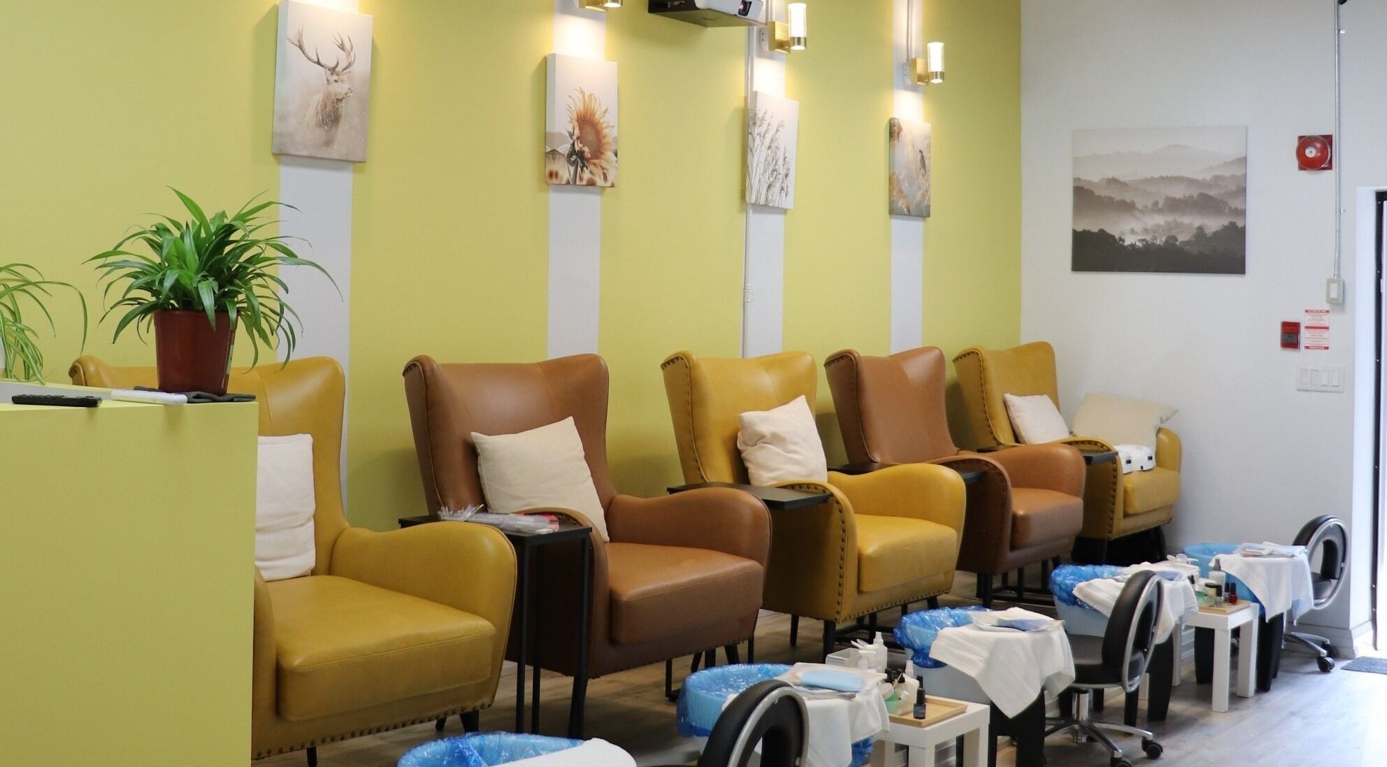 Pedicure chairs at Velvet Beauty, Toronto, ON, CA with stylish decor and calming ambiance.