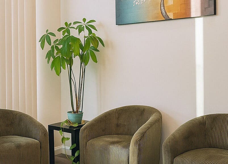 Relaxing seating area at Bosmar Spa, San Diego with green plants and artwork on the walls.