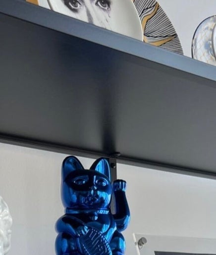 Unique decor featuring a blue cat statue and artistic plates at Uralashion in Burwood, New South Wales, AU.