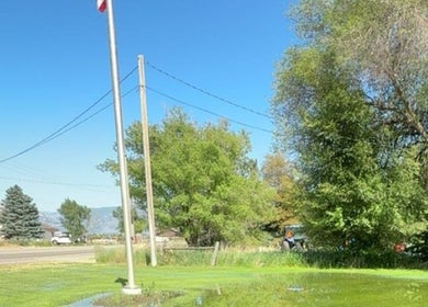 Outdoor area near LashnBrow.byTaylor in Ogden, Utah, US, featuring lush trees and a clear blue sky.
