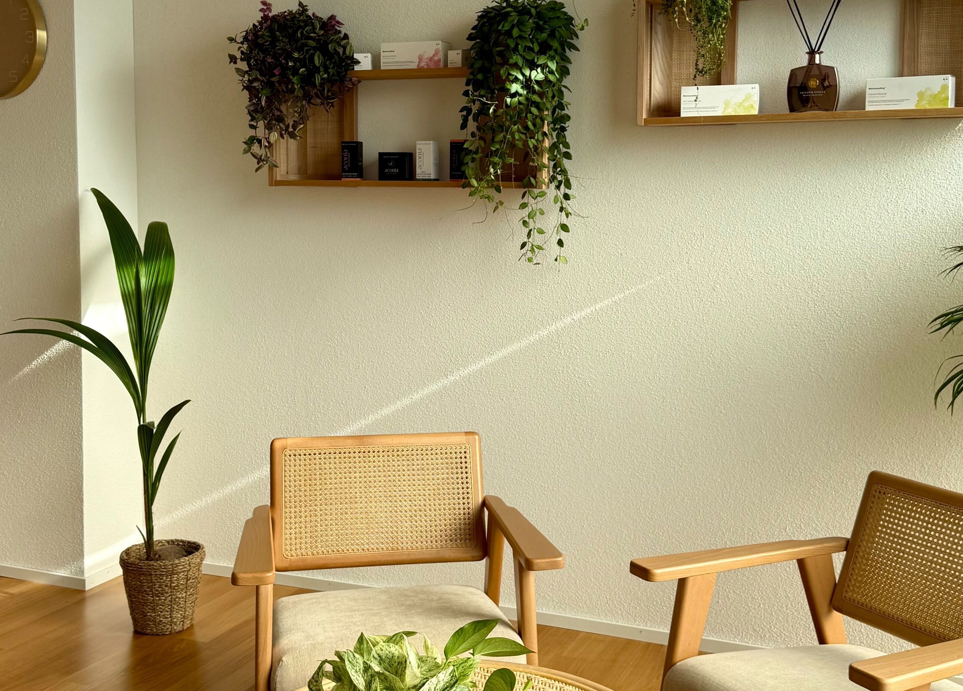 Moderner Warteraum mit Pflanzen bei Ästhetikoase Landa in Ebikon, Luzern, CH.