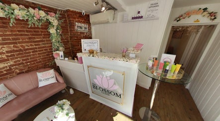 The Blossom Clinic