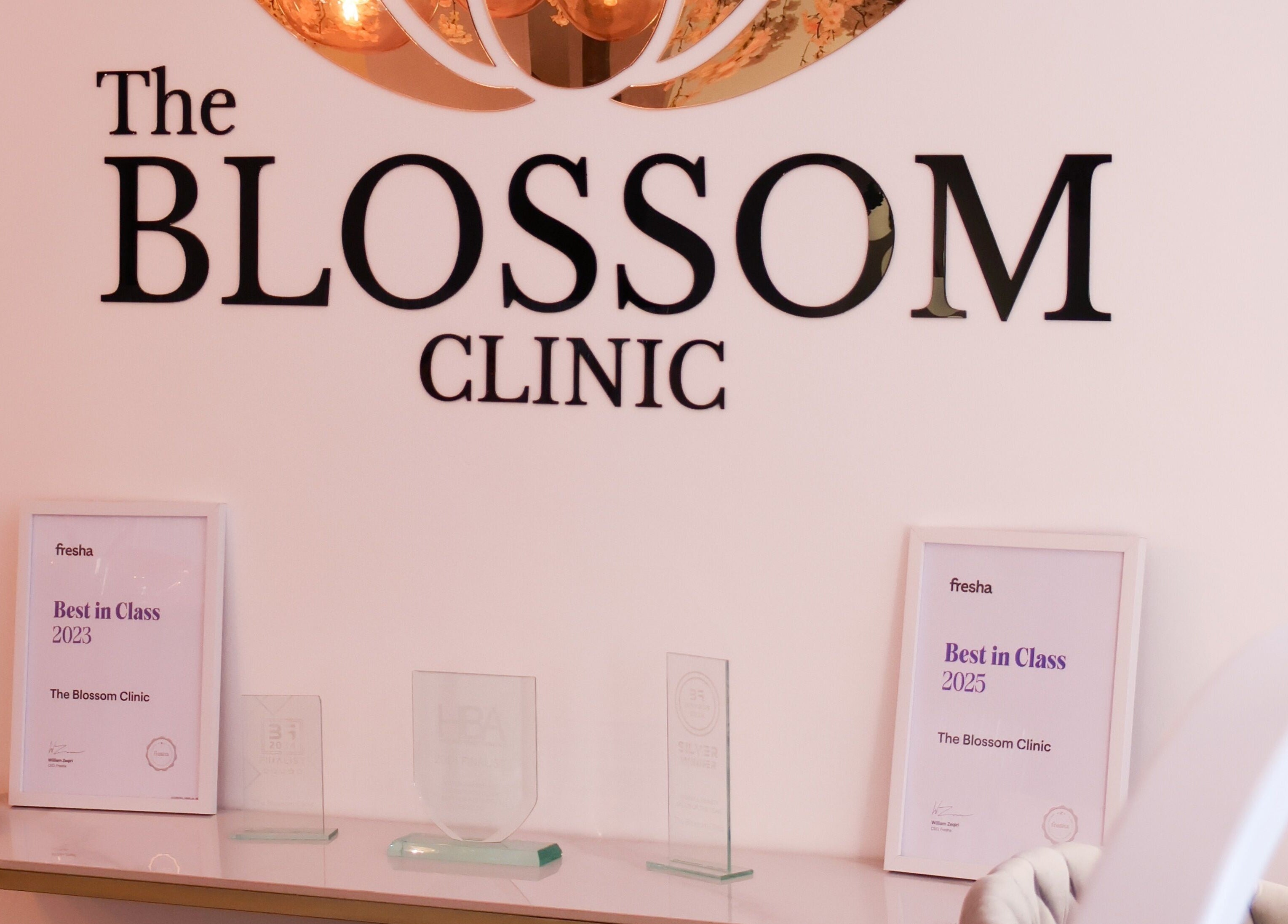 Awards showcased at The Blossom Clinic, Beccles, England, GB, highlighting excellence in beauty and wellness.