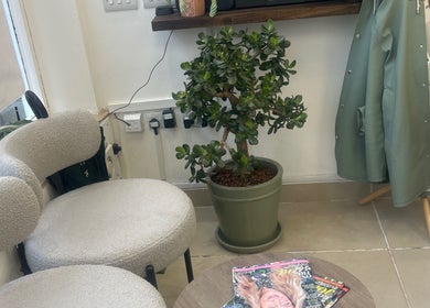 Relaxing corner at Sukhi Beauty Salon, London, England, GB with chic chairs and a potted plant.