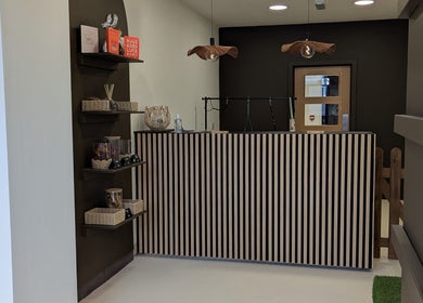 Reception area at Woof & Sip Dog Spa, Moreton, England, GB with striped counter and stylish shelves.