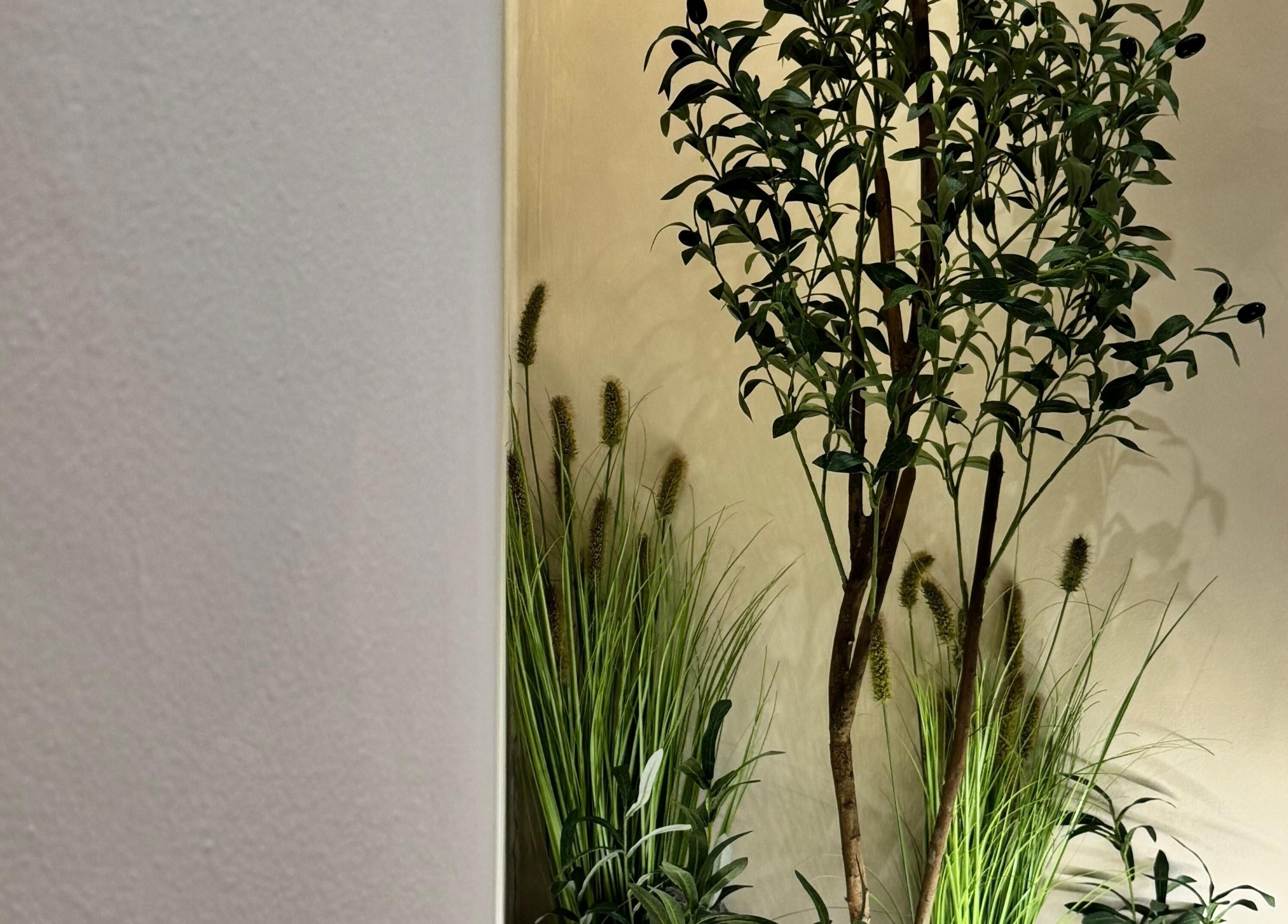 Lush green plant decor at Creature Of Habit, Singapore, SG, enhancing a serene spa ambiance.