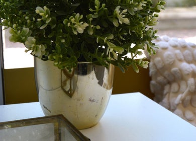 Elegant plant decor at Jorge Rodriguez Cabelereiro OLI Organic venue, Lisboa, Lisboa, PT.