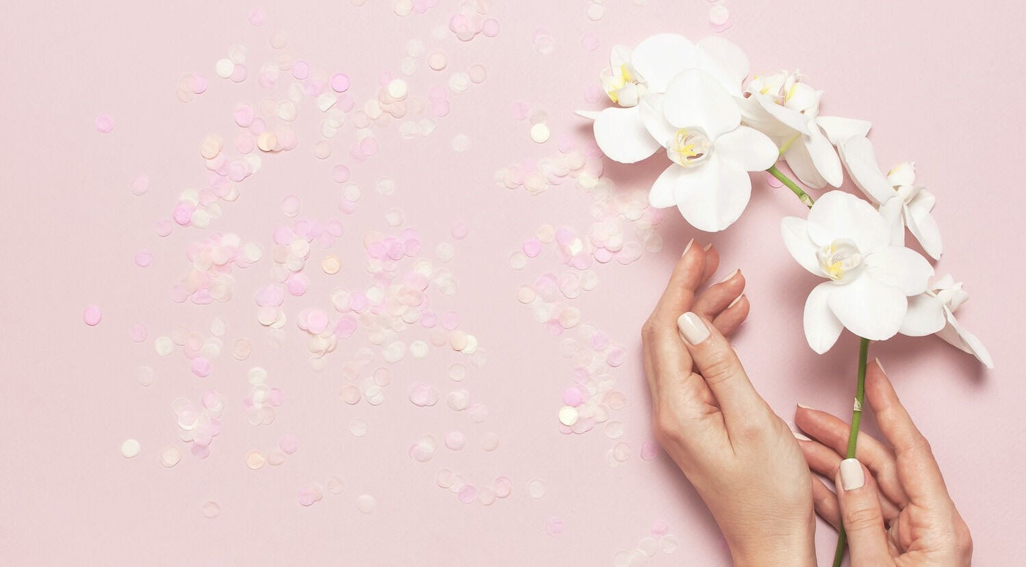 Hand met orchidee bij Studio Monaire, Ijsselmuiden, Overijssel, NL. Delicate schoonheid en welzijn.