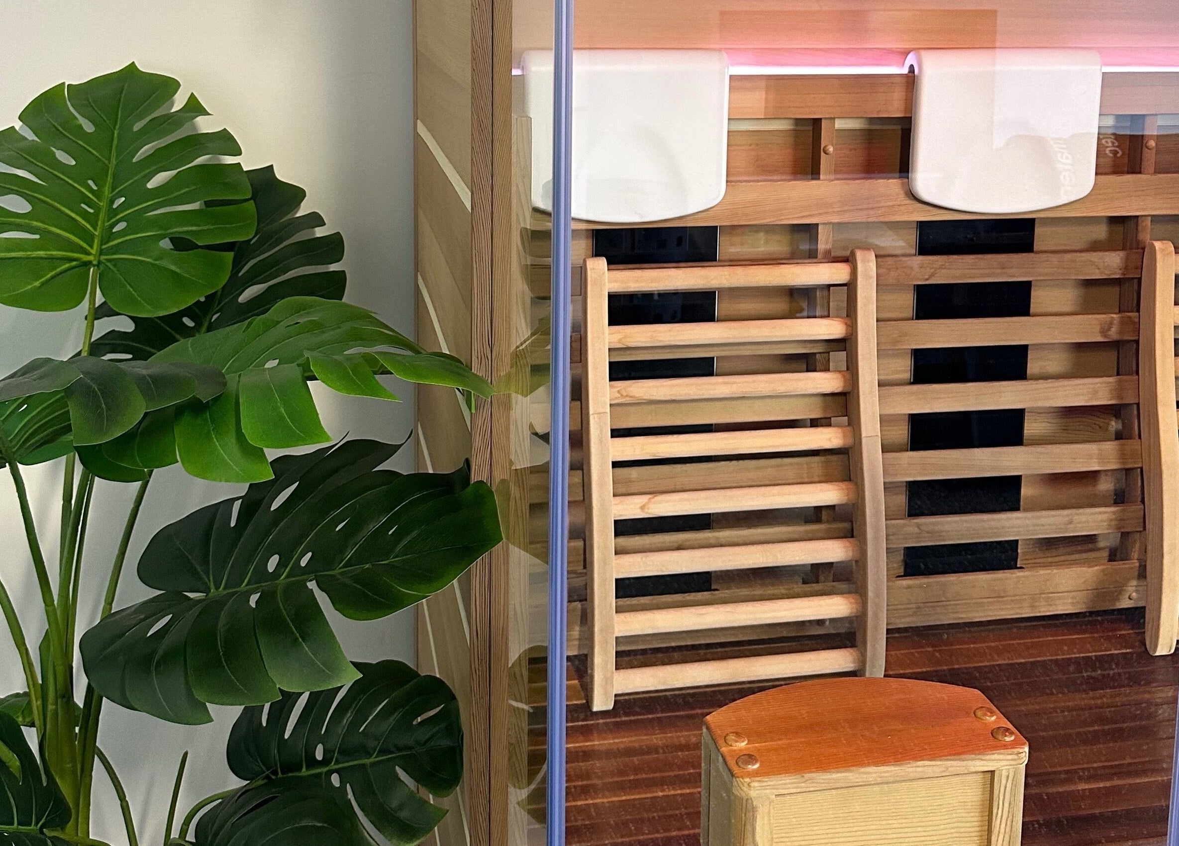 Relaxing sauna experience at CORE Recovery, Warrnambool, Victoria, AU, with lush green plants.