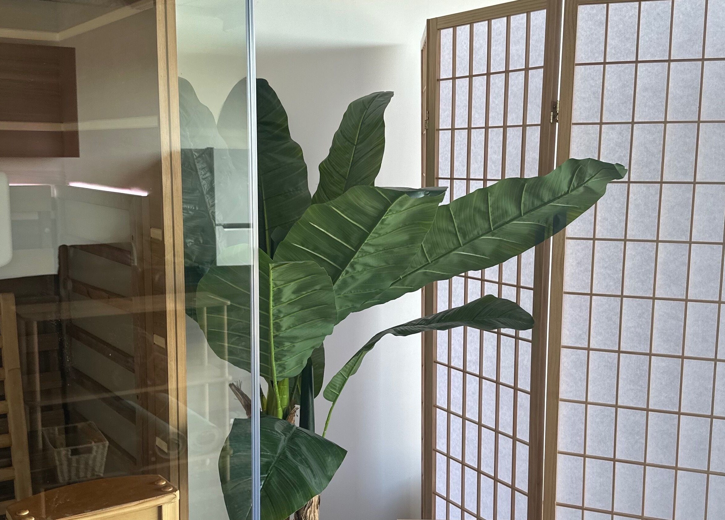 Tranquil sauna room with greenery at CORE Recovery, Warrnambool, Victoria, AU for relaxation and wellness.