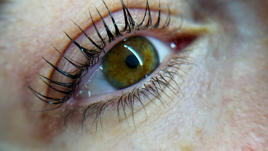Close-up of styled lashes at Glam Lashes NYC, New York, New York, US showcasing beauty expertise.