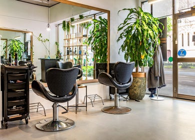 Modern salon interior at Serenity Hair & Co, Surry Hills, New South Wales, AU, showcasing stylish chairs and plants.