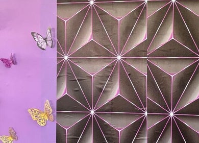 Colorful butterfly and geometric wall art at Chan's Unique Hair Studio, Kingstown, St. George, VC.