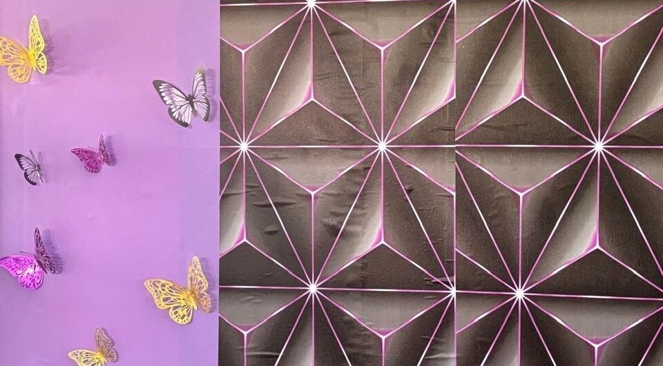 Colorful butterfly and geometric wall art at Chan's Unique Hair Studio, Kingstown, St. George, VC.