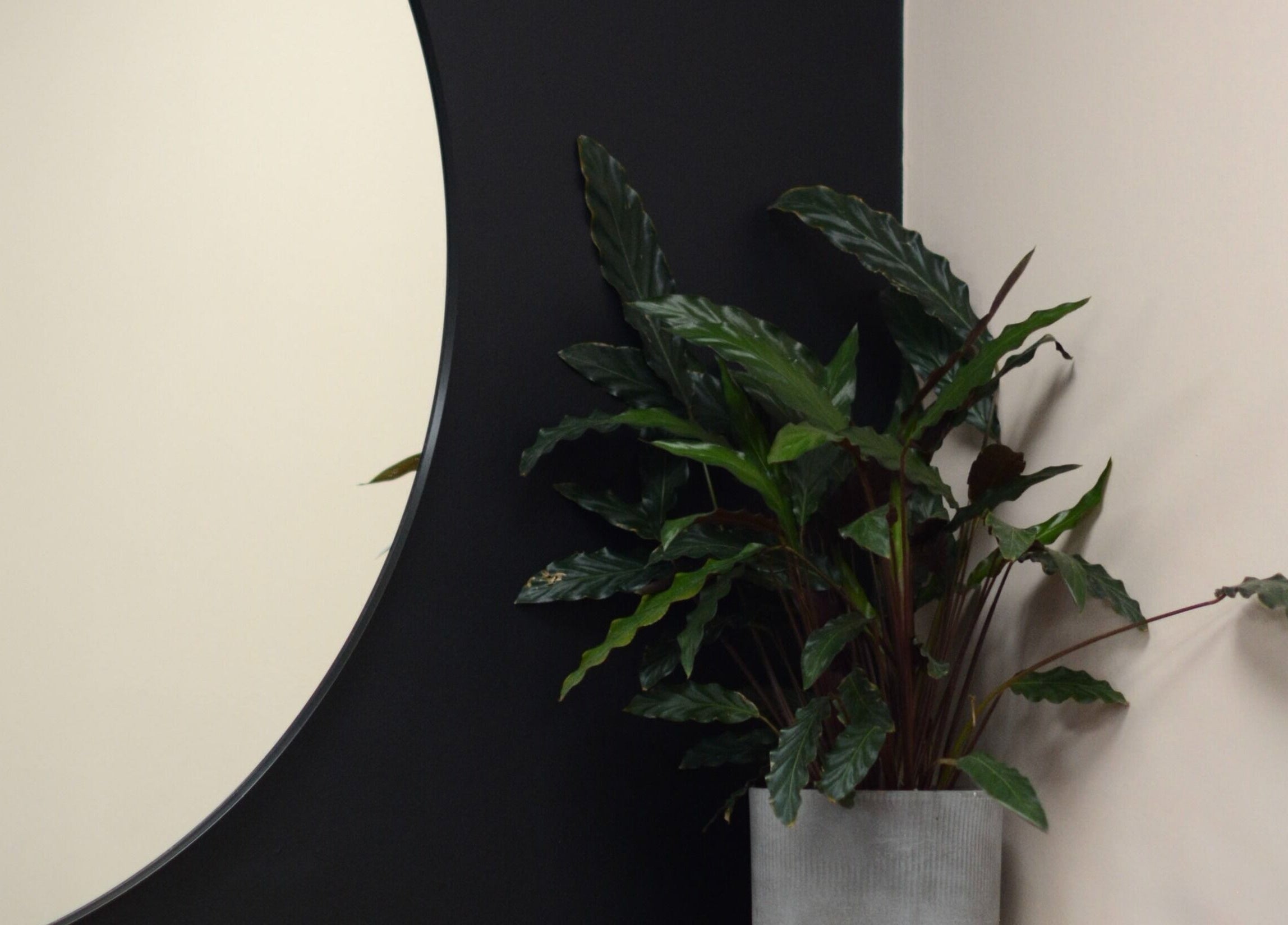 Modern plant decor beside mirror at Pimp My Hair, Aberdeen, Scotland, GB for a stylish ambiance.