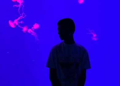 Person silhouetted against vibrant blue and pink background at Yz cuts, Markham, Ontario, CA.