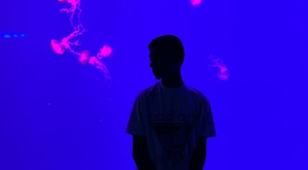 Person silhouetted against vibrant blue and pink background at Yz cuts, Markham, Ontario, CA.