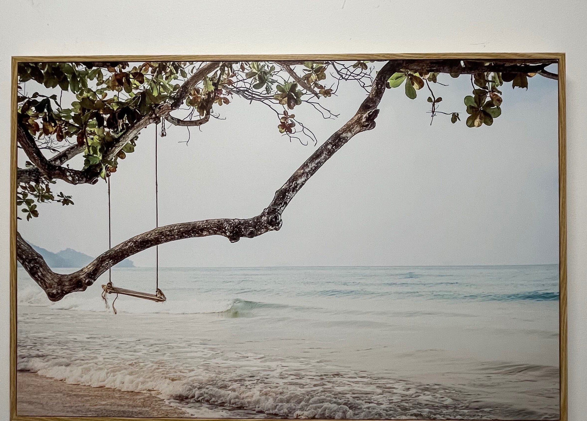 Tranquil beach swing at The Studio, Melbourne, Victoria, AU. Perfect relaxation setting.