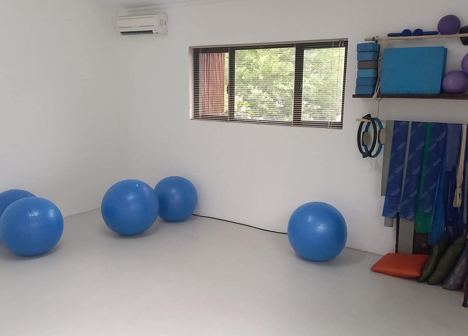 Sunbird Wellness studio in Hoedspruit, Limpopo, ZA with exercise balls and equipment.