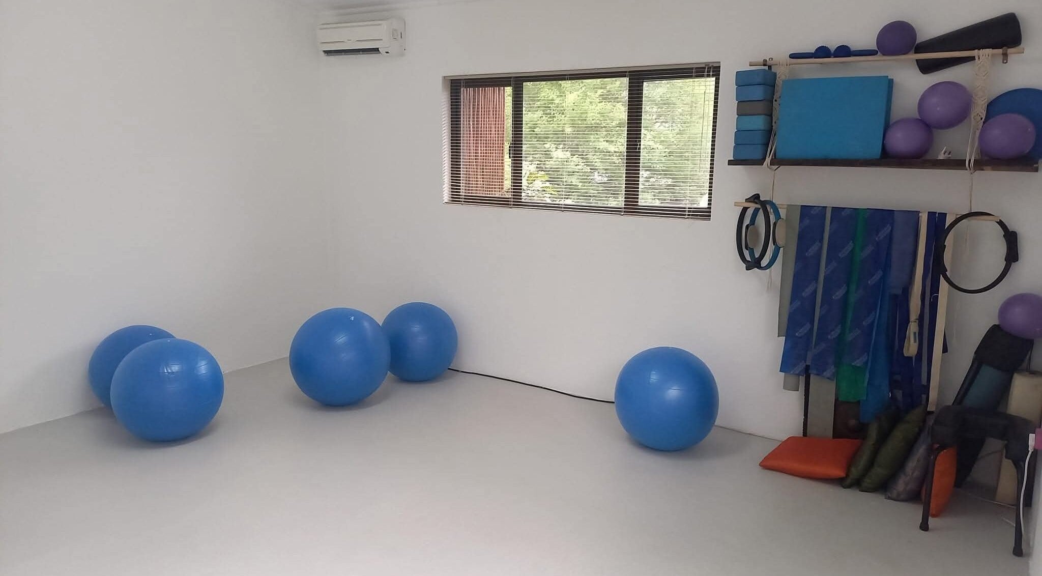 Sunbird Wellness studio in Hoedspruit, Limpopo, ZA with exercise balls and equipment.