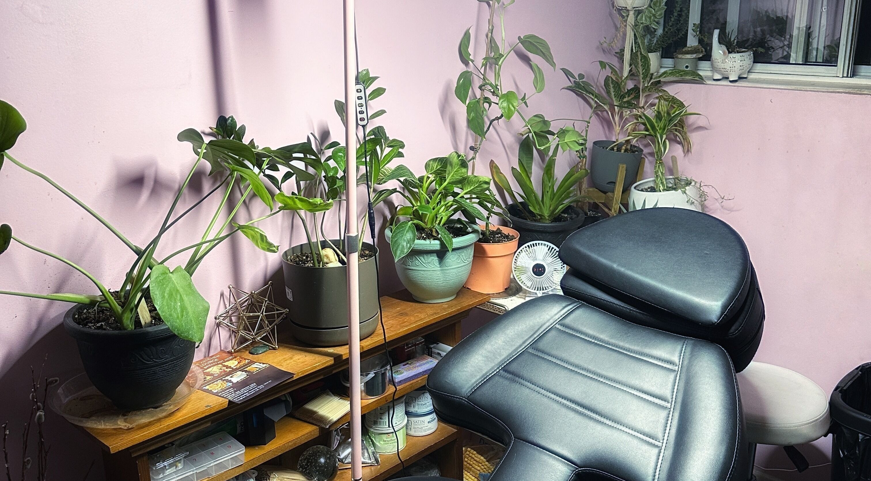 Relaxing corner at Ink and Nail Therapy, Toronto, Ontario, CA, with plants and plush chair.
