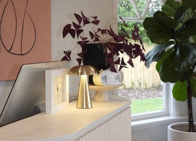 Chere Cherie reception desk decor with plants and art, Christchurch, Canterbury Region, NZ.