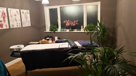 Phoebe’s Recovery Zone