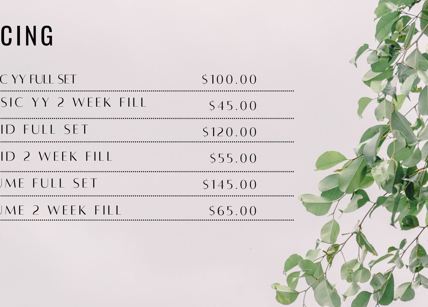 Pricing list for Lash Layne, Azle, Texas with greenery background detailing various eyelash services.