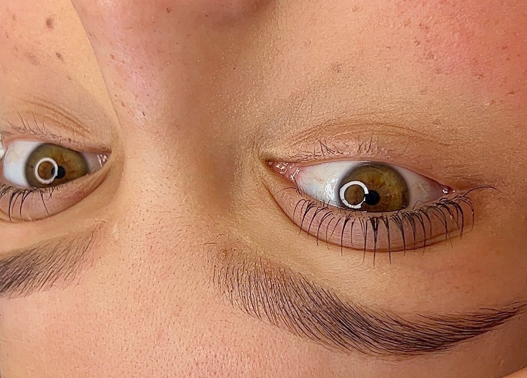 Detalle de ojos tratados en Malucejas, Quilicura, Región Metropolitana, CL, destacando cejas definidas.