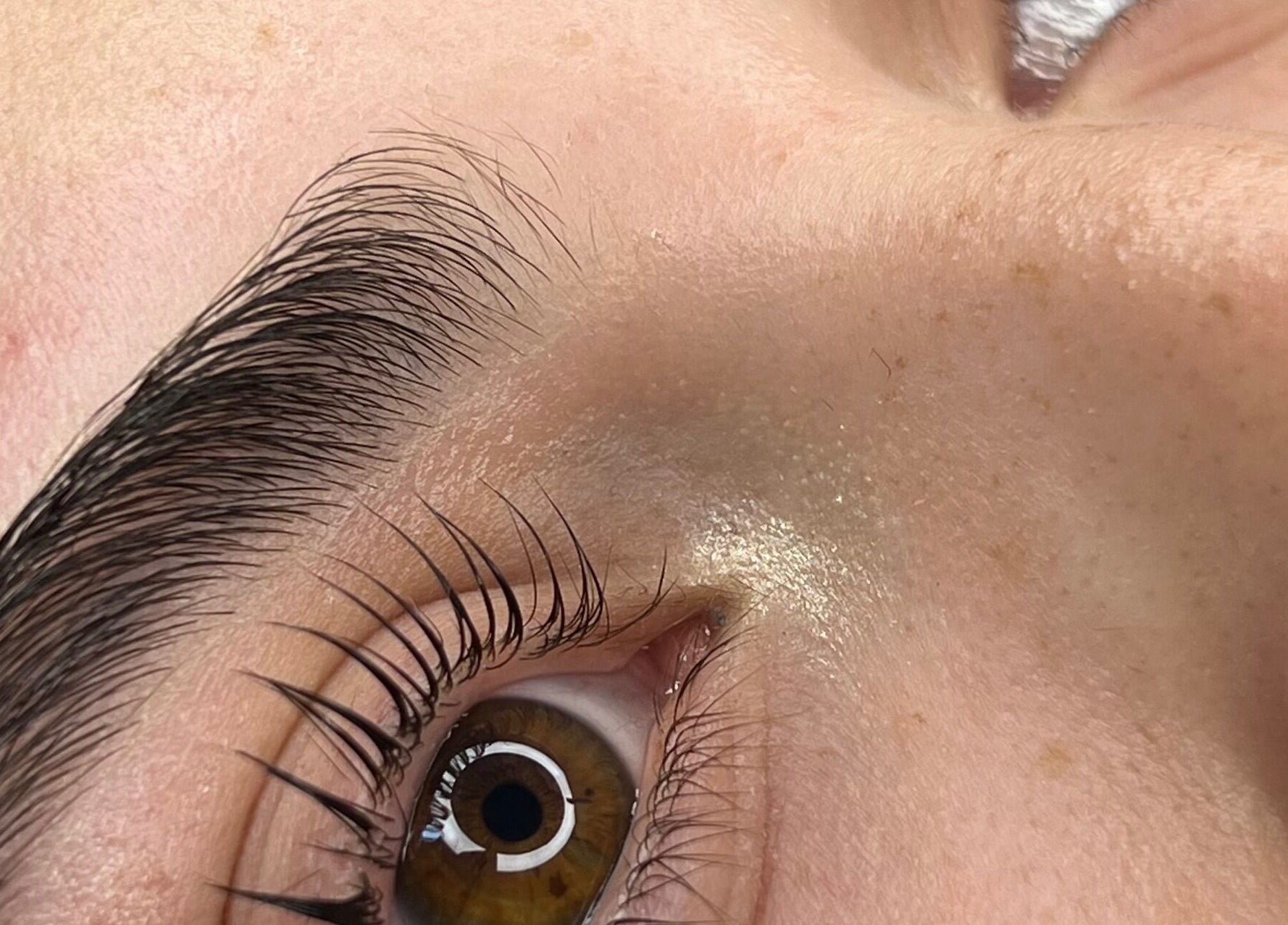 Primer plano de cejas y pestañas realzadas en Malucejas, Quilicura, Región Metropolitana, CL.