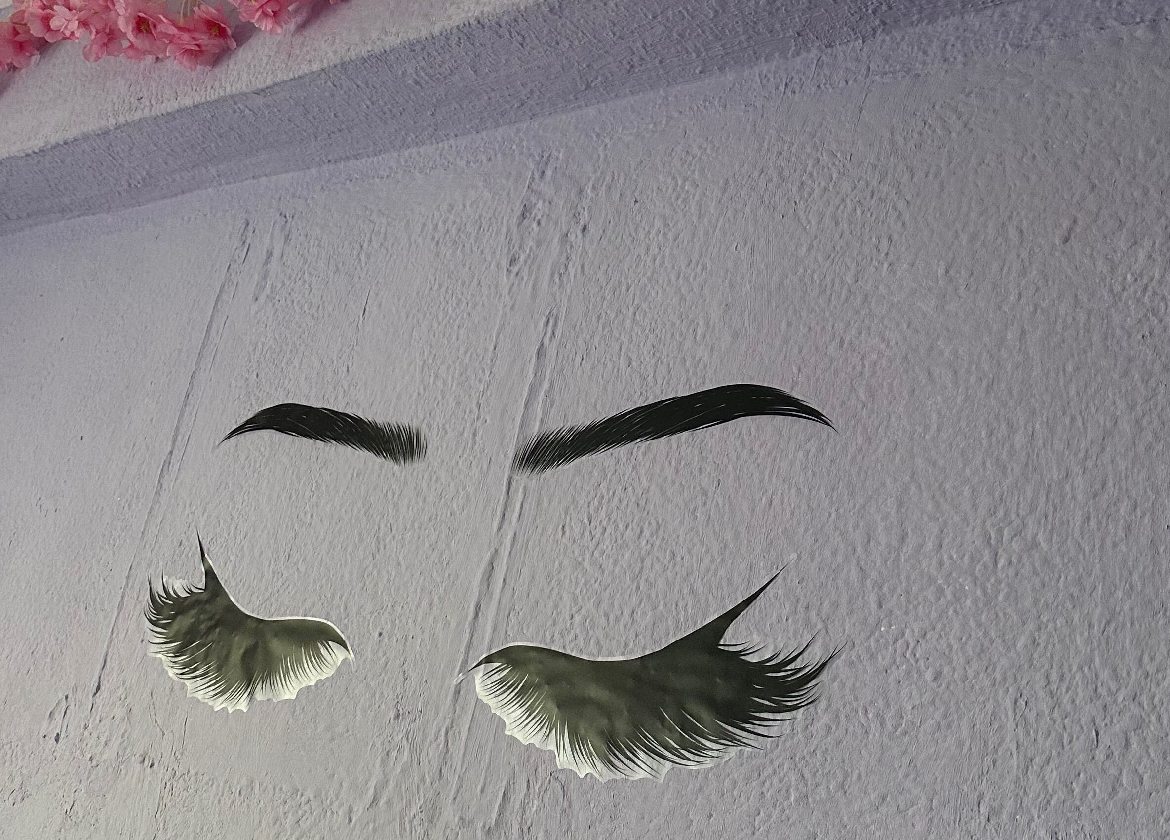 Arte de cejas y pestañas en la pared de Studio Obsessive Lashes, La Línea De La Concepción, Andalucía, ES.