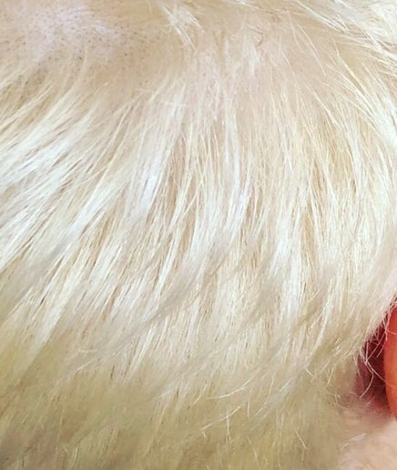 Corte moderno de cabello rubio en Ana Esposito Dominican Salon, Clearwater, Florida, US.
