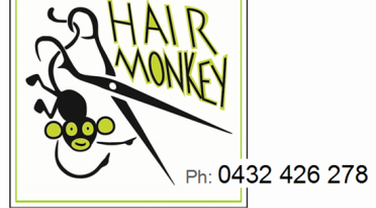 Hair Monkey image 2