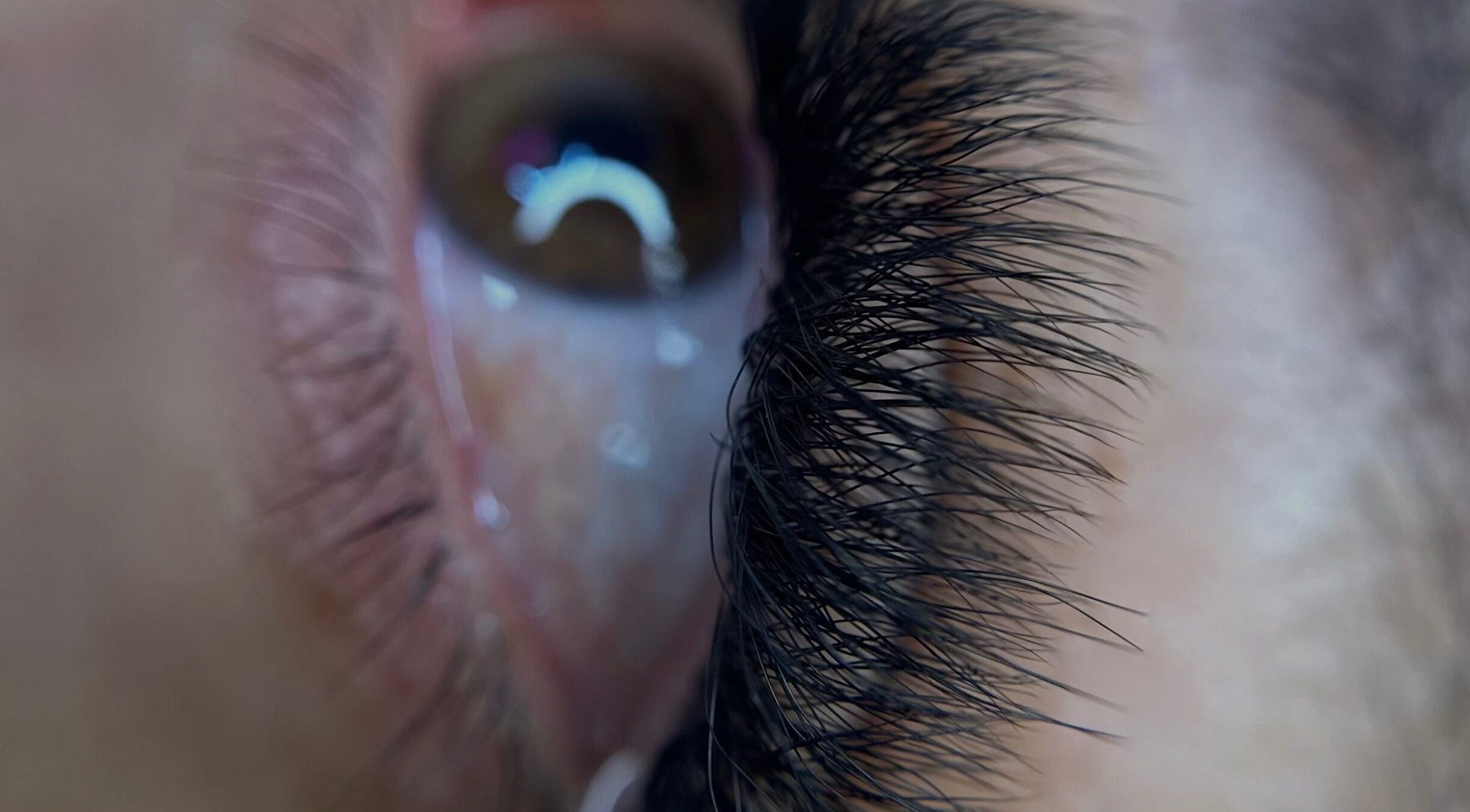 Primer plano de extensiones de pestañas en Eliz Lashes Studio, Arecibo, Arecibo, PR.