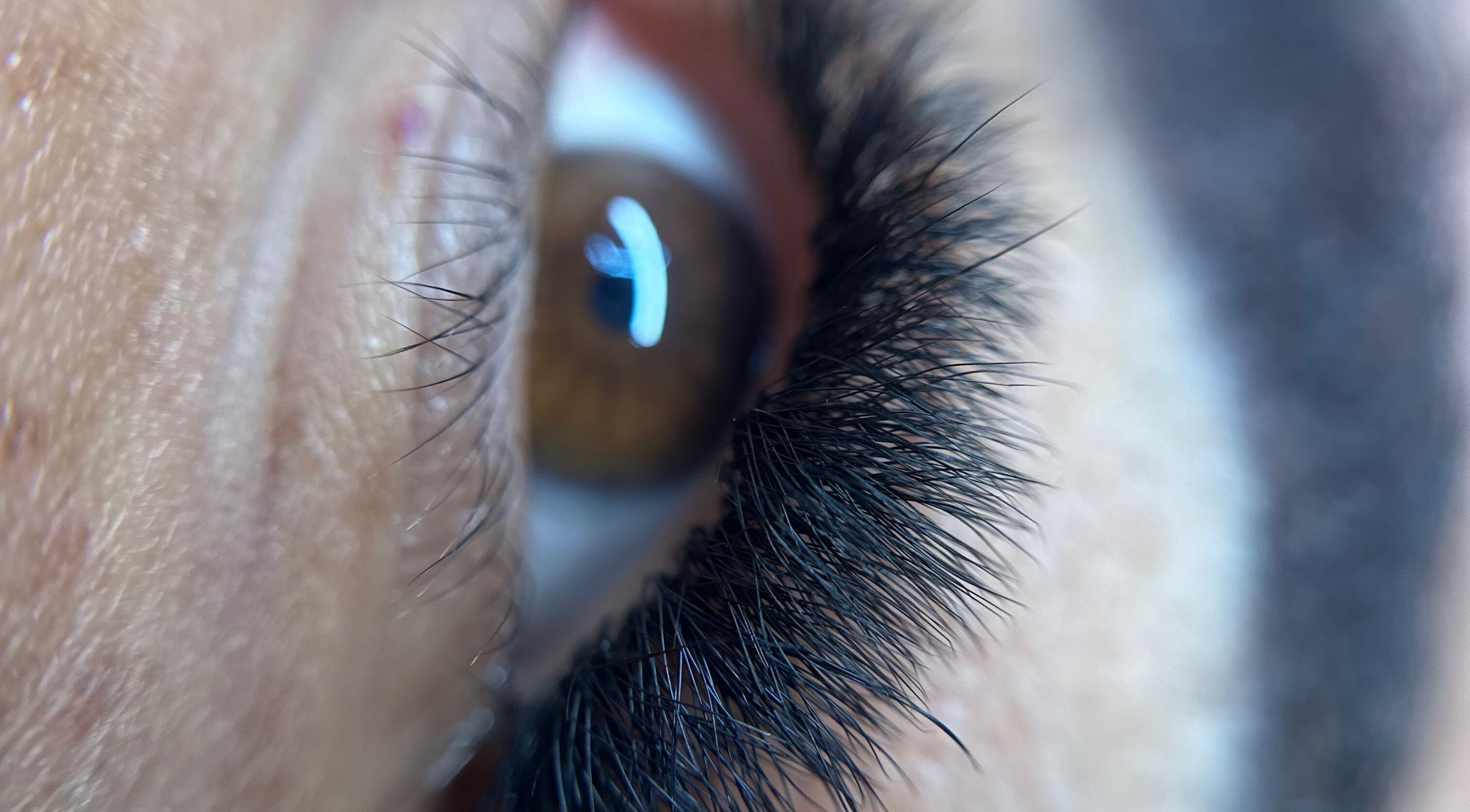 Primer plano de pestañas abundantes en Eliz Lashes, Arecibo, Arecibo, PR.