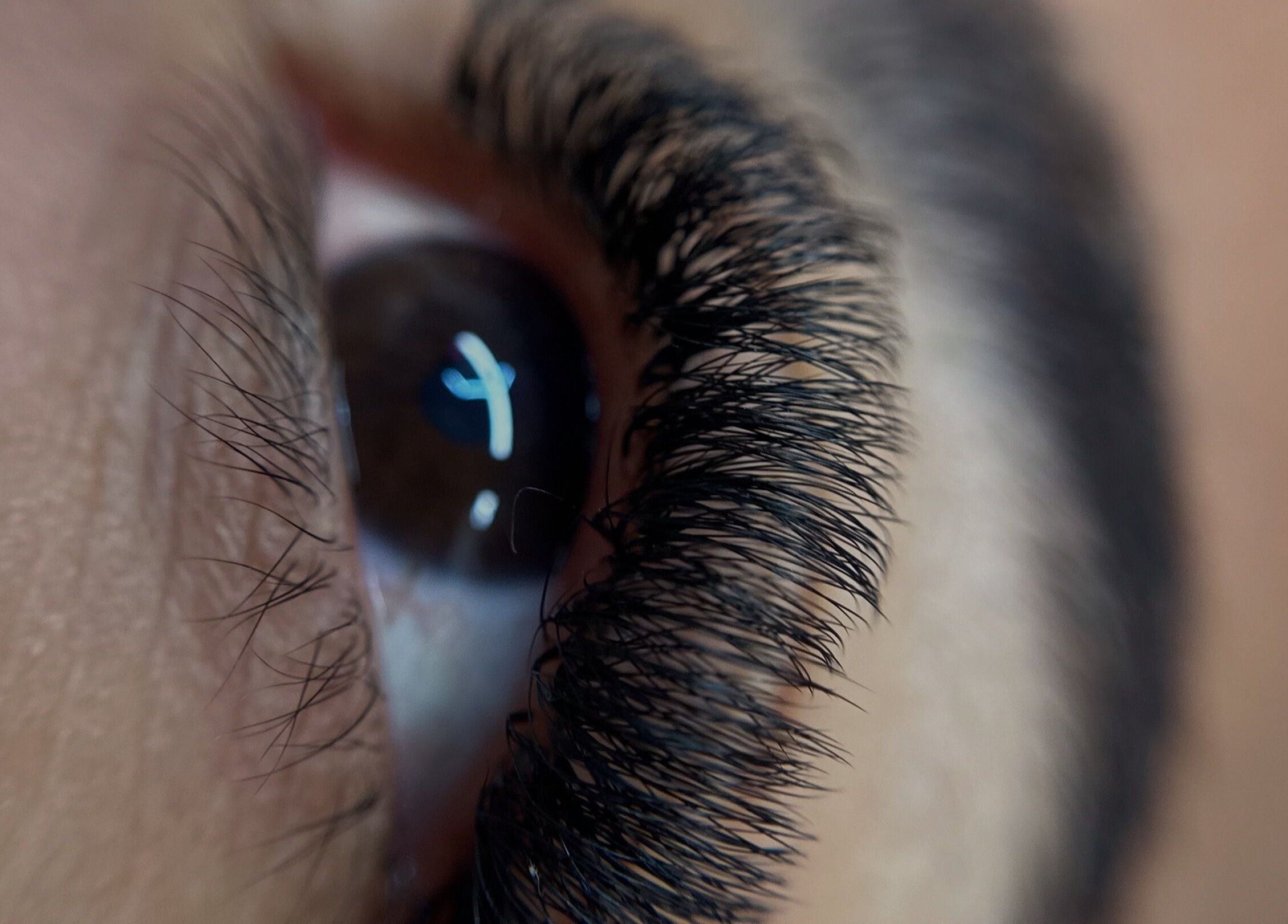 Primer plano de pestañas realzadas en Eliz Lashes, Arecibo, Arecibo, PR.