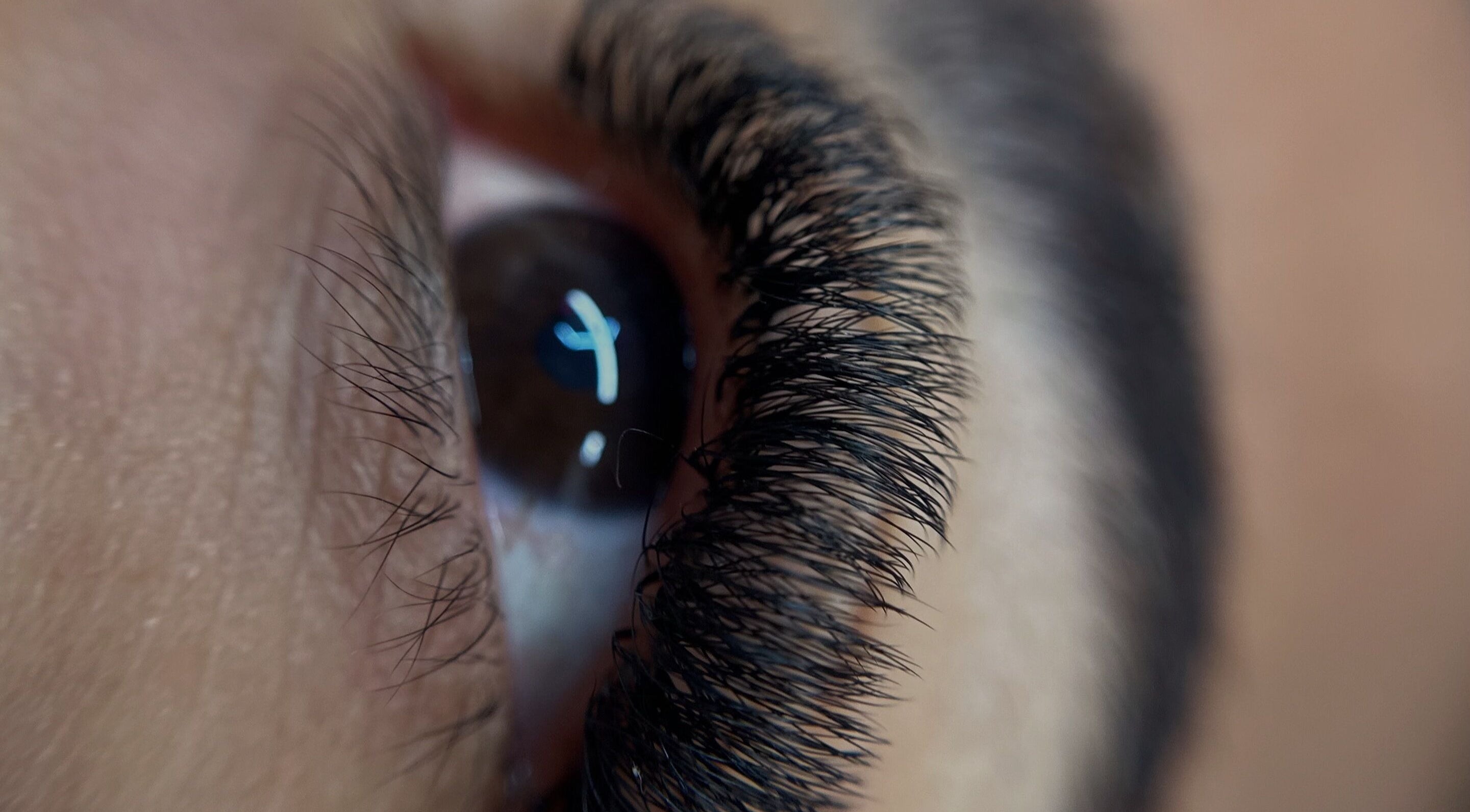 Primer plano de pestañas realzadas en Eliz Lashes, Arecibo, Arecibo, PR.