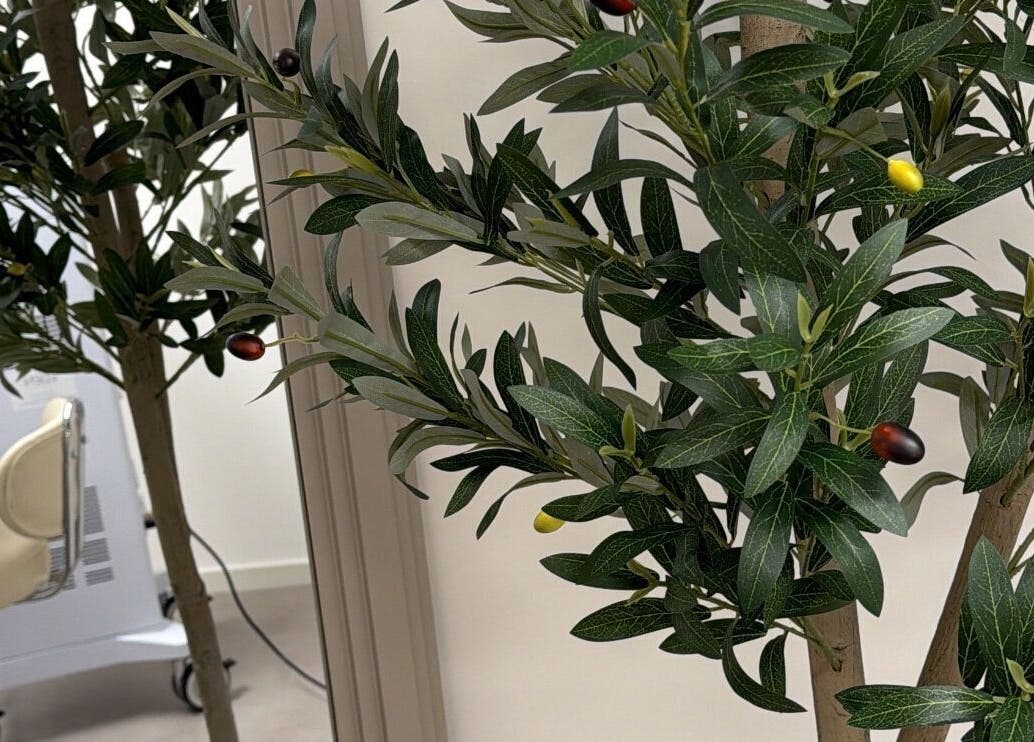 Déco végétale apaisante chez M. Laser Studio, Ottignies-louvain-la-neuve, Région Wallonne, BE.