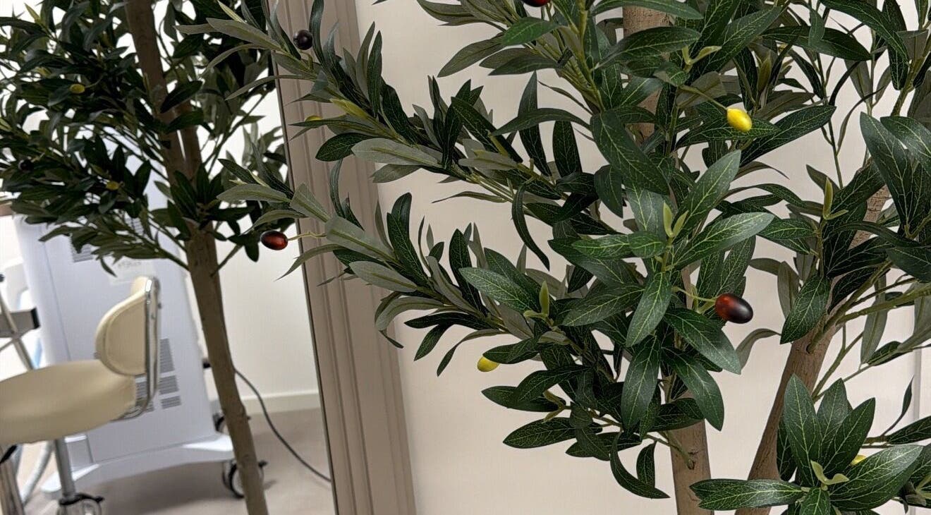 Déco végétale apaisante chez M. Laser Studio, Ottignies-louvain-la-neuve, Région Wallonne, BE.