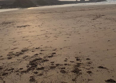 Serene beach view at sunset near Awakening You, Bude, England, GB. Perfect for relaxation and wellness retreats.