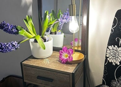 Elegant floral decor at Pam Thai Hand Massage, Taupō, Waikato Region, NZ, enhancing relaxation and tranquility.
